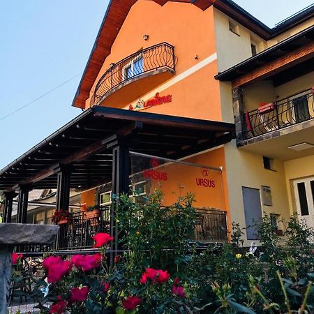 Pensiunea Montana Borsa Mm Băile Borşa Exteriér fotografie