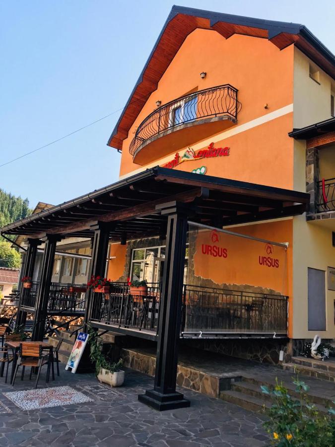 Pensiunea Montana Borsa Mm Băile Borşa Exteriér fotografie