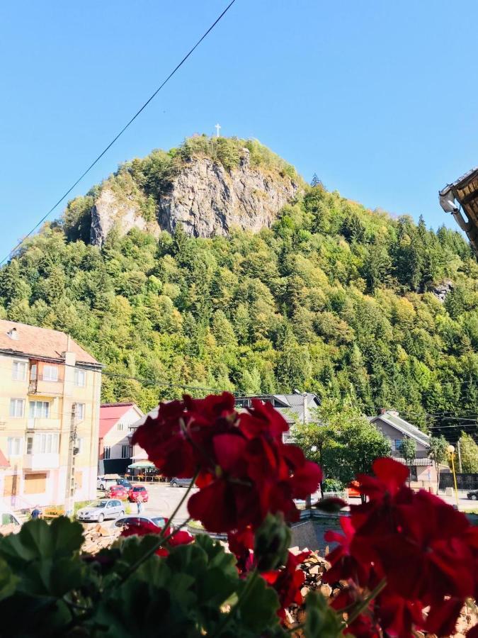 Pensiunea Montana Borsa Mm Băile Borşa Exteriér fotografie