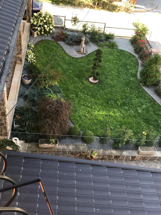 Pensiunea Montana Borsa Mm Băile Borşa Exteriér fotografie