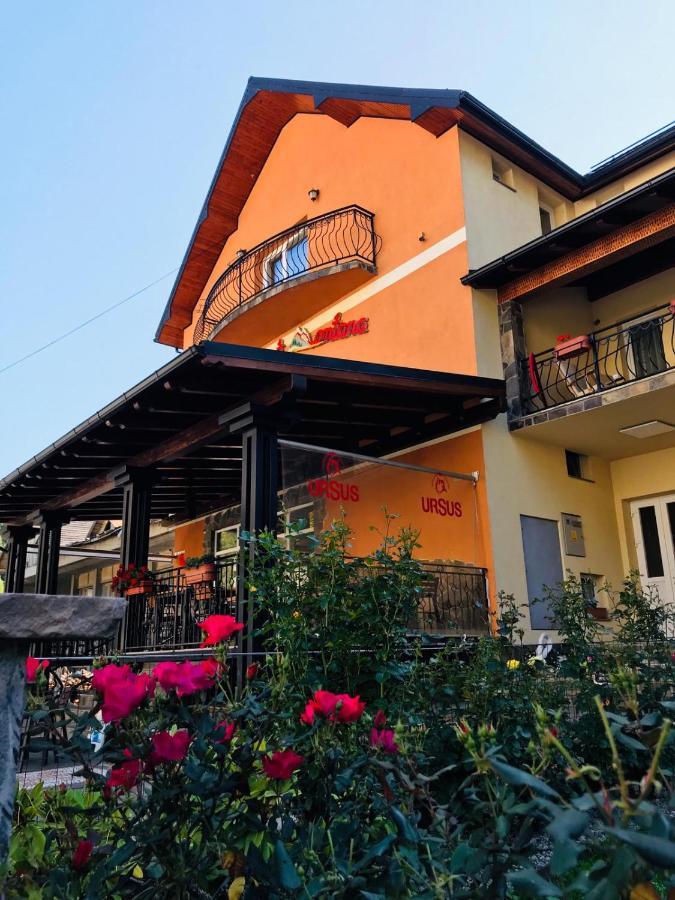 Pensiunea Montana Borsa Mm Băile Borşa Exteriér fotografie